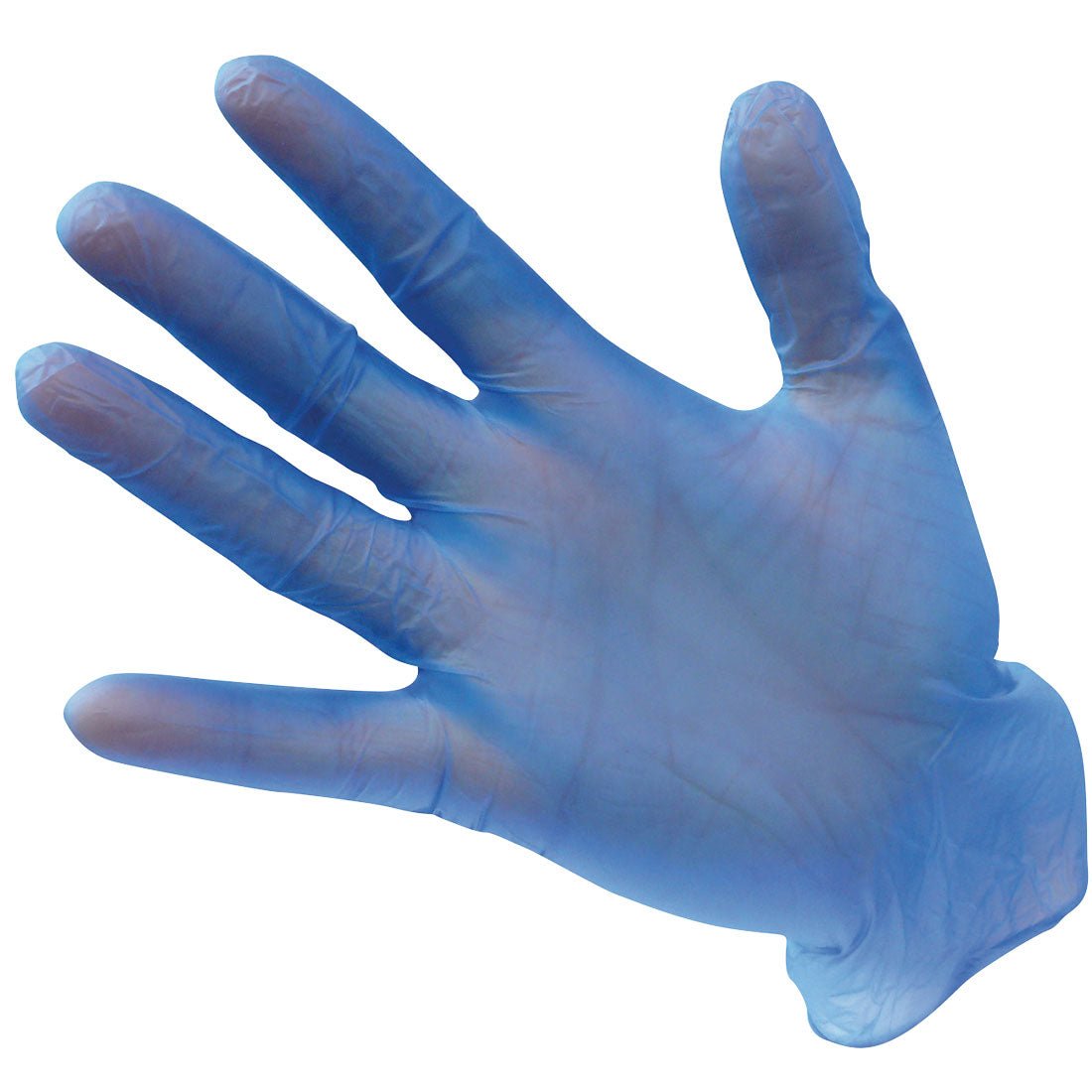 einweg vinyl handschuhe Portwest A905