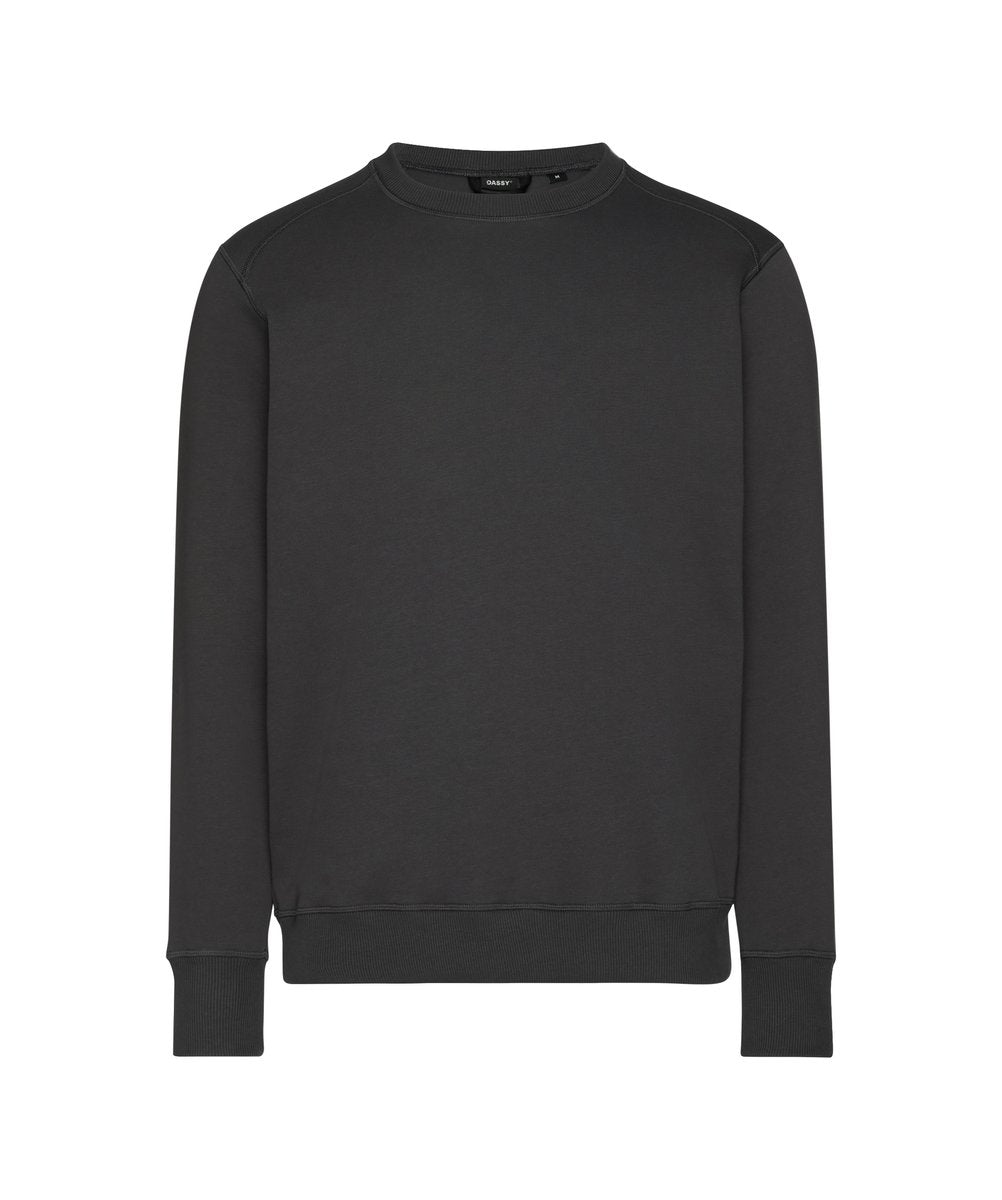 DASSY FIBRE Sweatshirt Anthrazitgrau – Vorderansicht