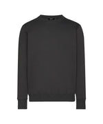 DASSY FIBRE Sweatshirt Anthrazitgrau – Vorderansicht