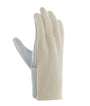 teXXor® Ziegen-/Schafsnappa-Handschuhe TRIKOTRÜCKEN – 12 Paar pro Packung